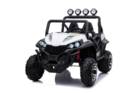  RZR24    POLARIS