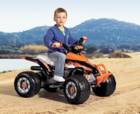    12  peg-perego CORRAL NEW T-REX